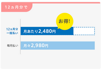 こどもちゃれんじじゃんぷの12カ月一括払い・毎月払いの違い